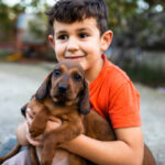A cute boy is smiling and holding a Dachshund puppy