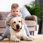 happy child boy with a friend dog   at home