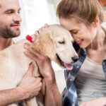 Young happy couple holding and hugging cute golden retriever puppy
