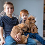 Young Happy Redhead and Blonde Boys Active and Content at Home Playing with Puppies in a Comfortable Lifestyle Authentic Moments and Pet Dogs (Shot with Canon 5DS 56mp photos professionally retouched - Lightroom / Photoshop - original size 5792 x 8688)